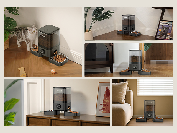 H1 Automatic Cat Feeders 2 Cat