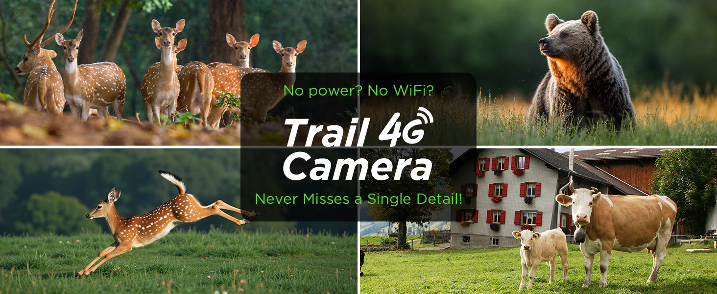 trail camera