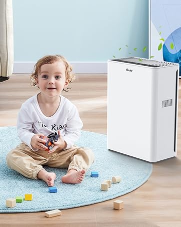 air cleaner