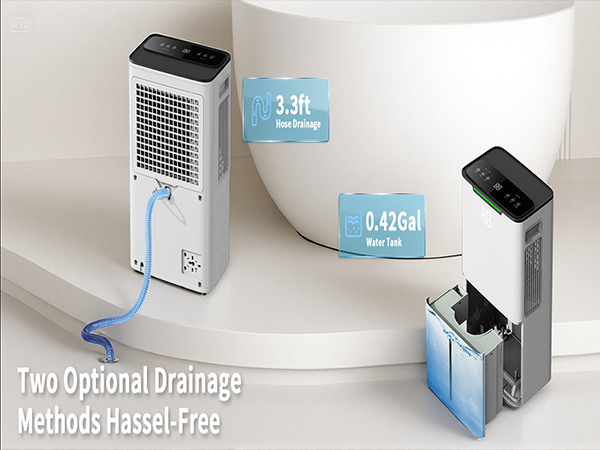 basement dehumidifier-2
