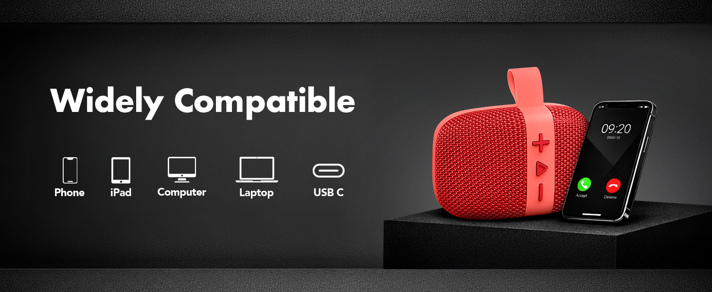 Mini portable speaker