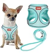 YIMEIS Dog Harness and Leash Set, No Pull Soft Mesh Pet Harness, Reflective Adjustable Puppy Vest...
