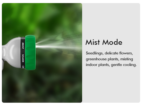 MIST