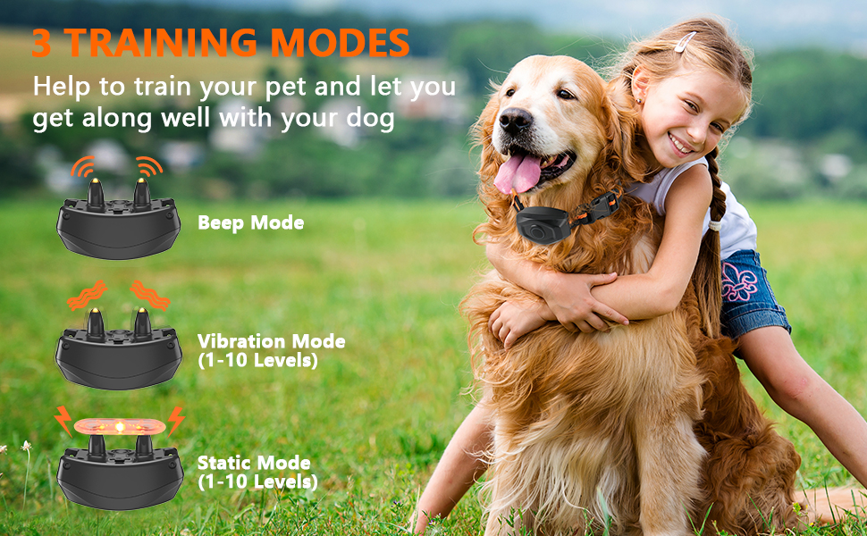 Dog Training Collar