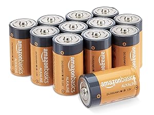 Basics Everyday D-Cell Alkaline Batteries