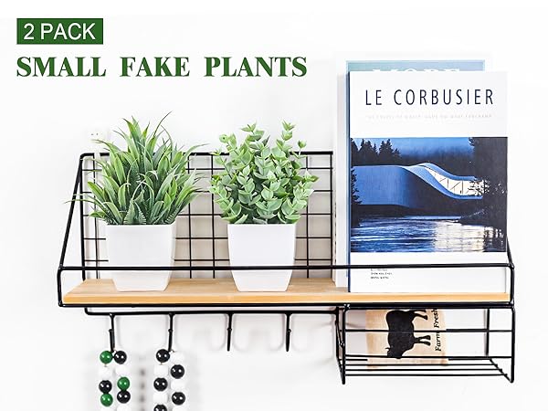 fake plants
