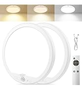 OSIDEN 2 Pack Rechargeable Motion Sensor Ceiling Light with Remote for Shower Shed Hallway Porch ...