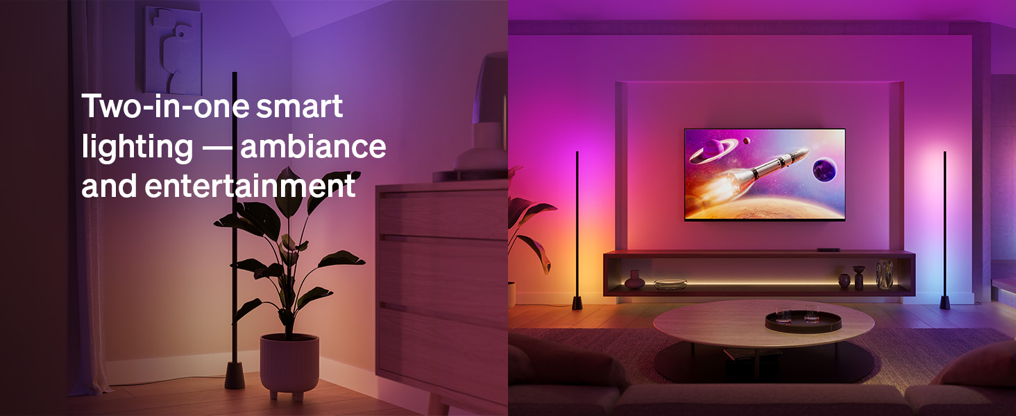Two-in-one smart lighting