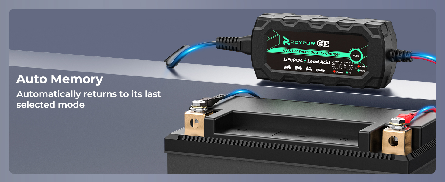 12V LiFePO4 Battery Charger