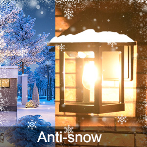 Anti-snow