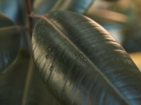 air