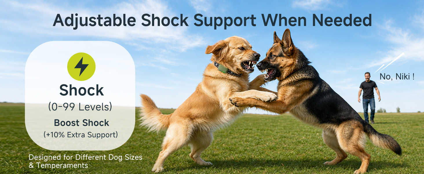 shock collar