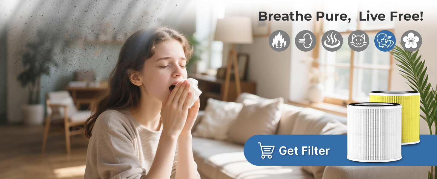 air purifiers for home