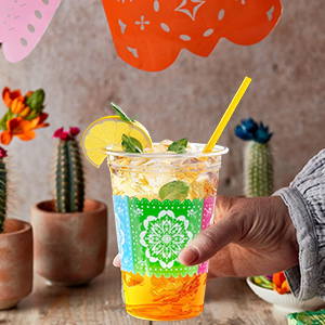 Mexican Theme Birthday Decorations