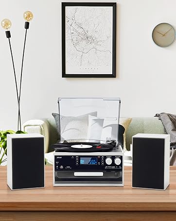 10 in 1 Record Player