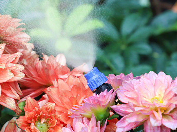 quick connect drip irrigation system