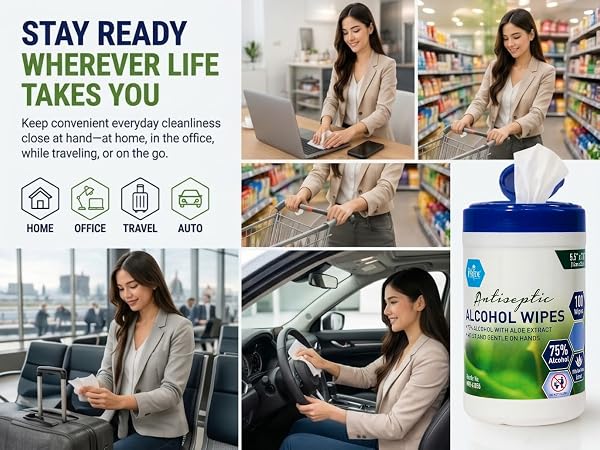 Alcohol Based Disinfectant Wipes, 100 Pack, with Aloe Vera