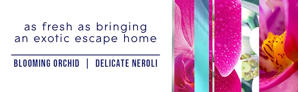 Orchid Neroli
