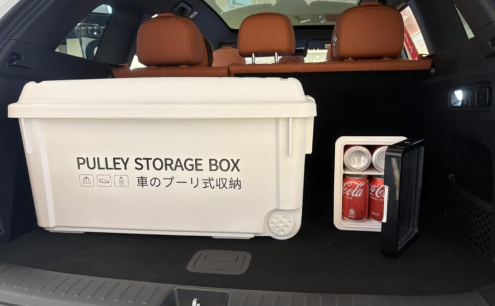 Stay Cool (or Warm) On the Go—Your Ultimate Car Mini Fridge!