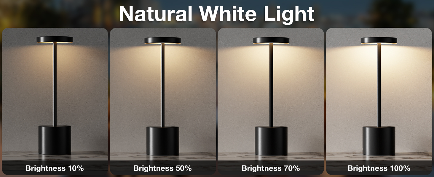 Rechargeable Table Lamp