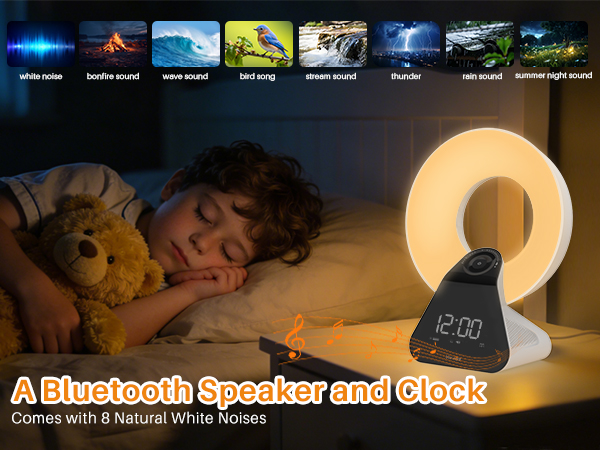 Voraiya Light Therapy Lamp