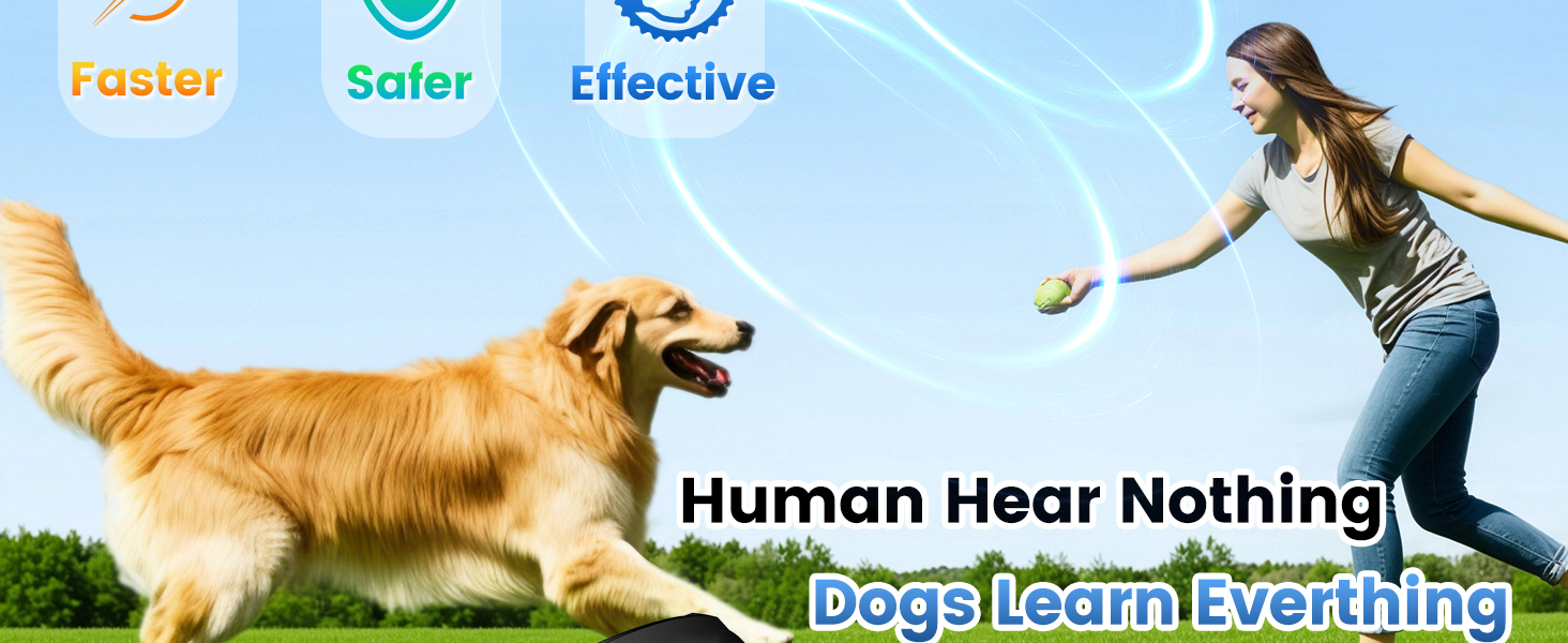 dog bark control anti bark