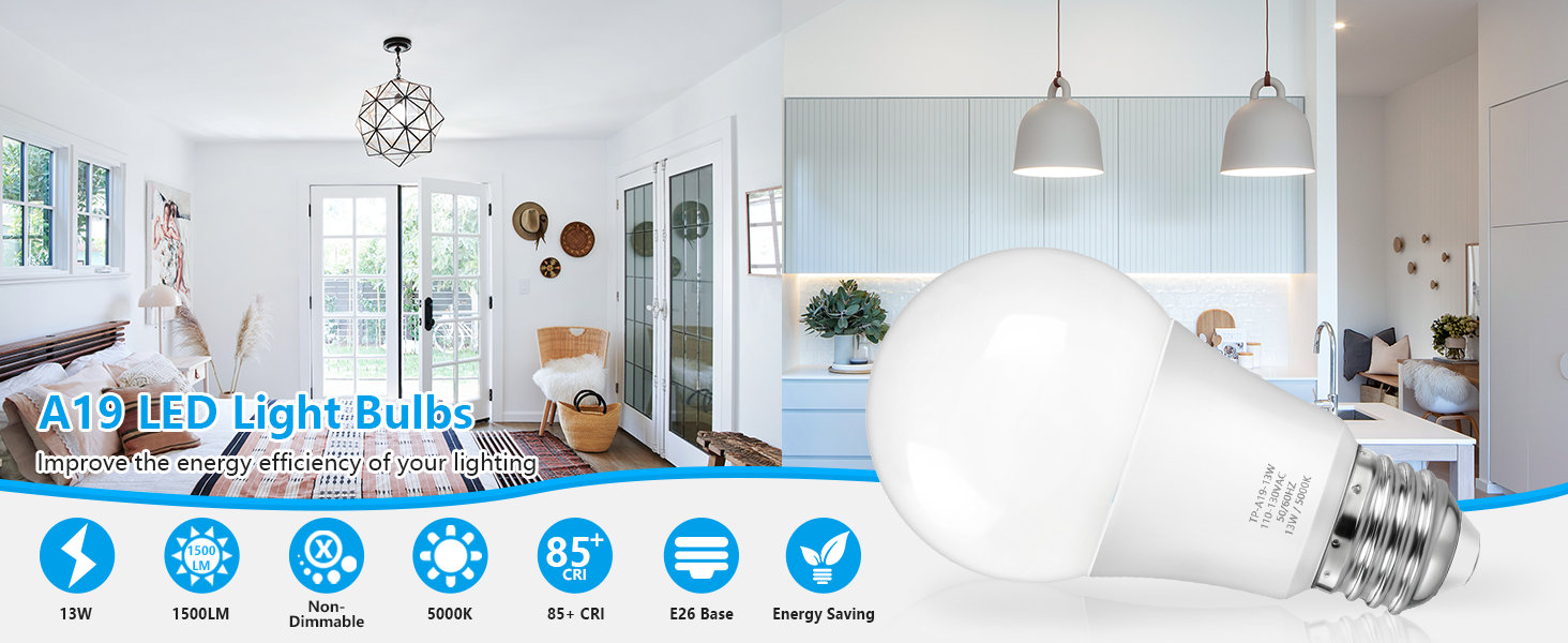 100 watt led light bulb