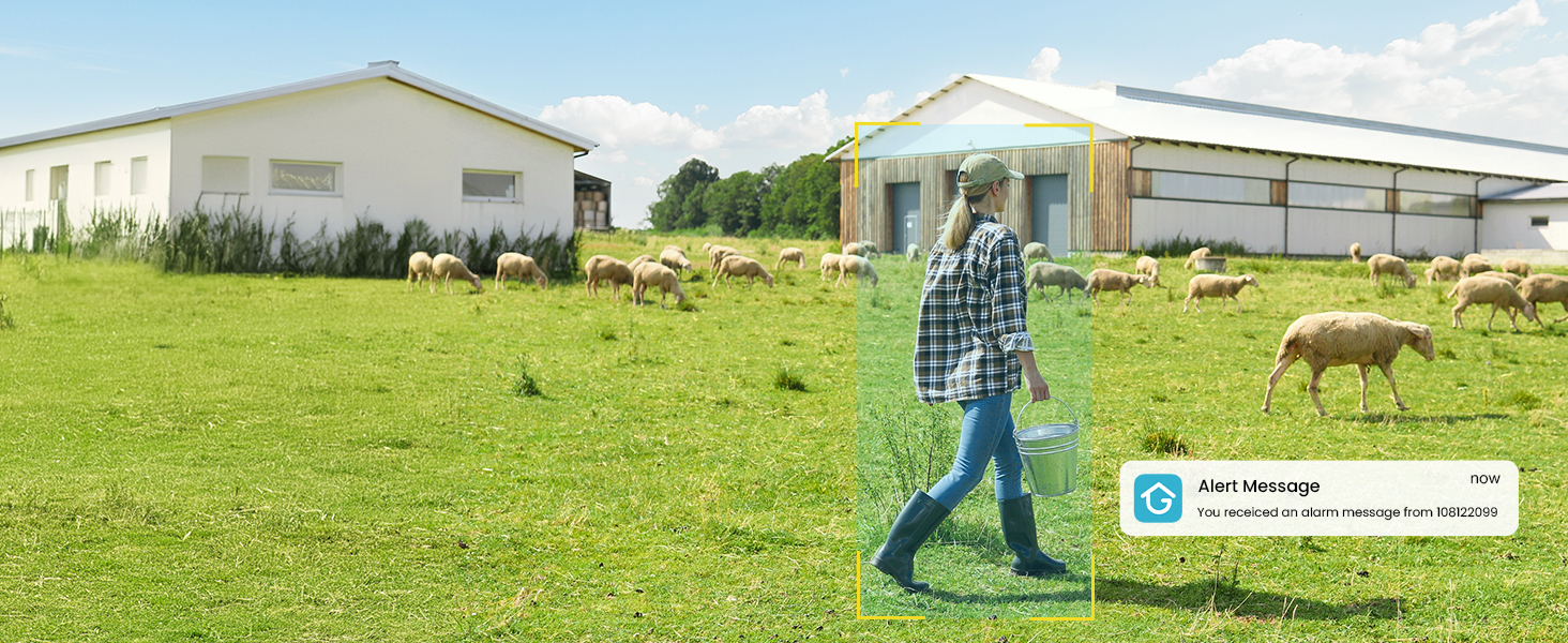 cameras with no wifi needed