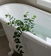 Easy clean tap to empty drain catcher Rustproof steel shower drain catcher Silicone grip shower