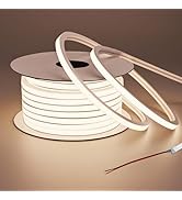 BENLUN 24V LED Neon Strip Lights 49.2FT, 3000K Warm White Led Rope Light Outdoor IP67 Waterproof ...