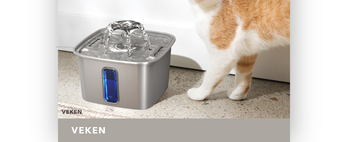 cat cat bowl cat it water fountain filters
