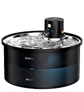 battery cat fountain cordless