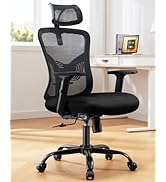 HUANUO Ergonomic Office Chair, High Back Desk Chair with S-Shaped Backrest, Adjustable Lumbar Sup...