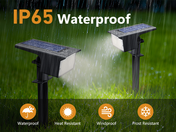 IP65 Waterproof