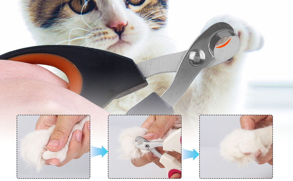 Baby Scales for Small Dogs Cats Crawl Pet