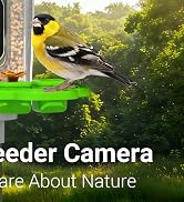Smart Bird Feeder with Camera Solar Powered