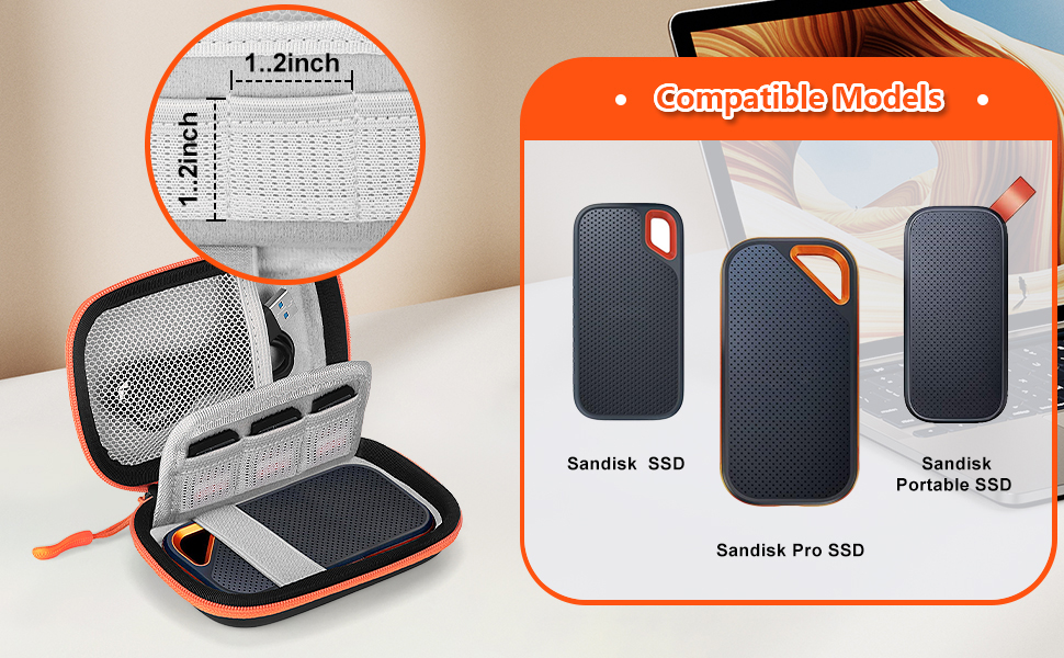 sandisk 1tb CASE