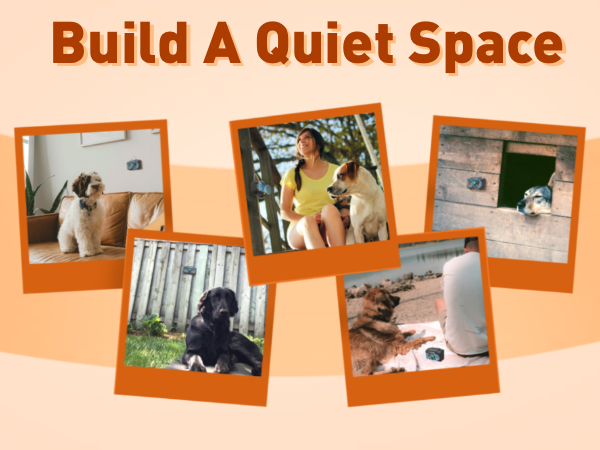 barking dog silencer