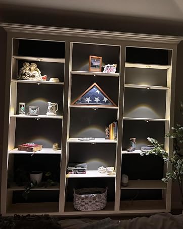 Remote Puck Lights