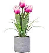 Jusdreen 1 Pot Artificial Potted Tulips Flowers with Cement Vase Vivid Tulip Flowers Arrangement ...