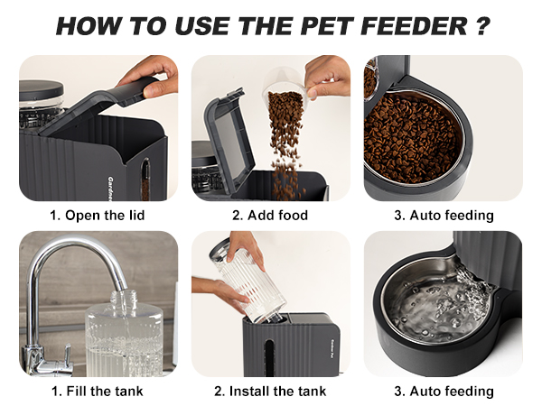 cat automatic feeder