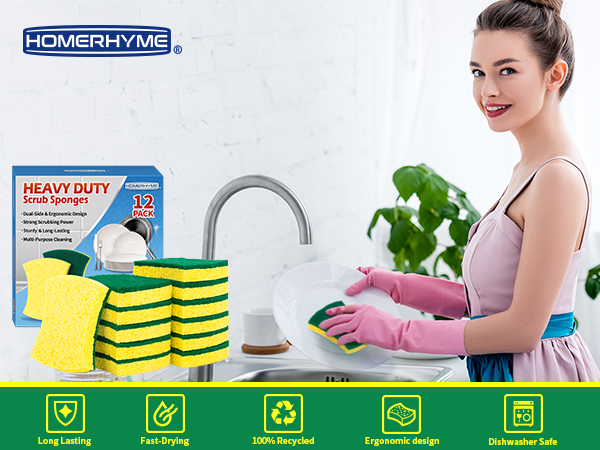 Kitchen Sponge