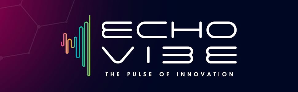 echo vibe logo