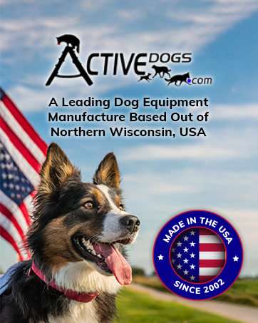 dog equipment