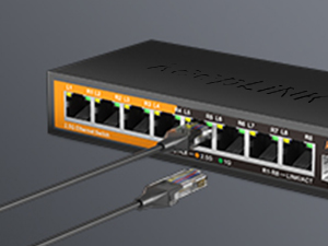 2.5g switch