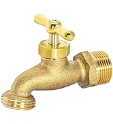 Eastman Irrigation Hose Bibb, 3/4 Inch MIP Connection x 3/4 Inch MHT Connection, Brass Plumbing F...