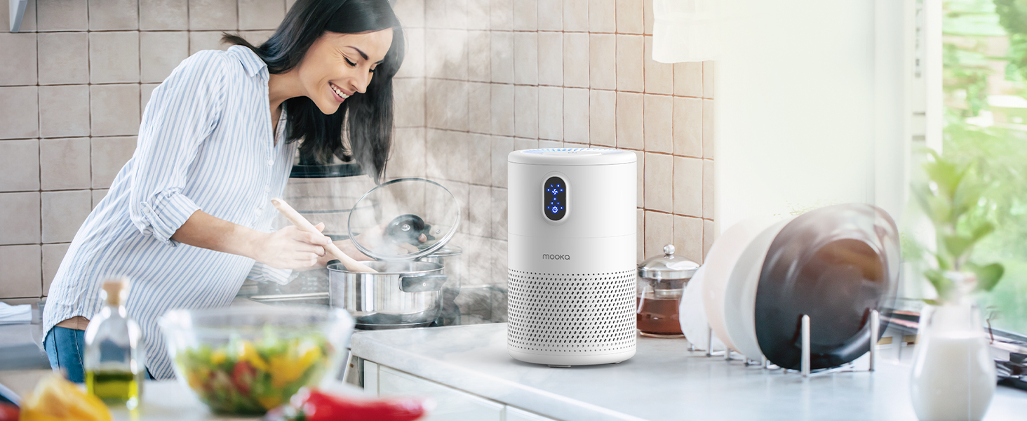 air purifiers for kitchen