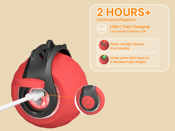 cat toys interactive for indoor cats