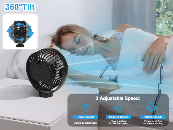 cruise fan approved royal caribbean