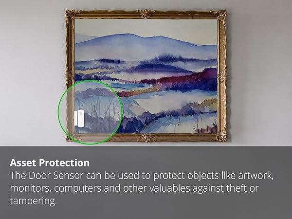 Asset Protection: door sensor